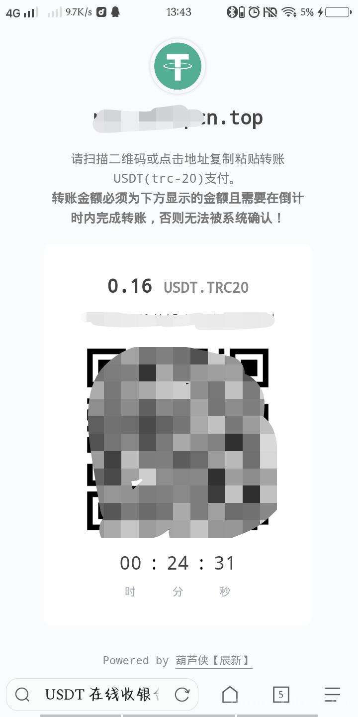 最新彩虹易支付 USDT-TRC20 支付插件
