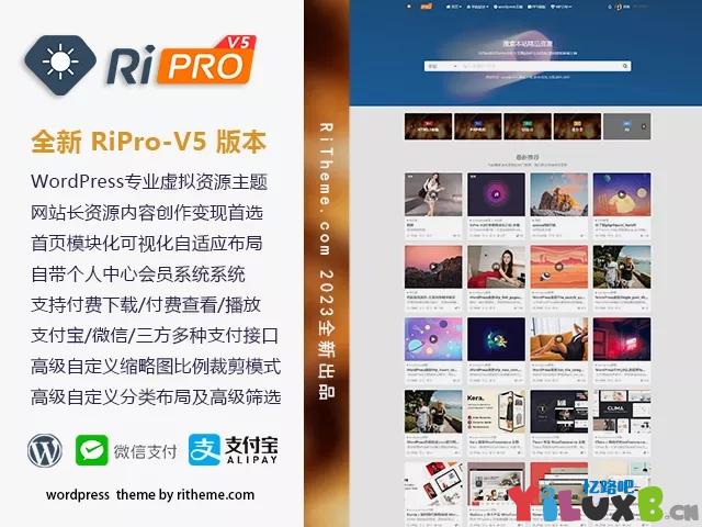 WordPress 虚拟资源商城主题 RiPro-V5_v6.4.0(开心版)
